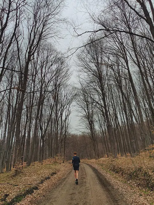 Person Running Outdoors on a Path